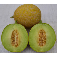 HSM02 Zuiyou globale goldgelbe F1 hybride süße Melonensamen, Galia
